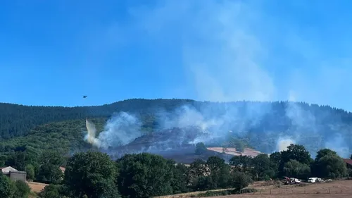 TARN : Feu fixé dans la Montagne Noire : 12 hectares parcourus