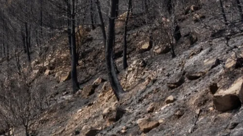 Incendie des Corbières : un agent de l’ONF mis en examen, un...