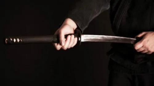 Toulouse. Ils menacent de mort leur voisin avec un sabre