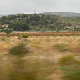 Corbières : quatre mois après l’incendie, l’Aude fait le point sur...
