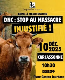 Aude : la colère des éleveurs contre les abattages massifs