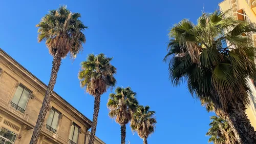 Pyrénées-Orientales : De nouveaux records de températures attendus...
