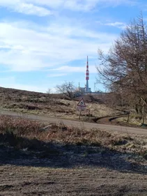 Courir malgré le froid : ces irréductibles de Carcassonne qui ne...