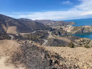 Pyrénées-Orientales: face à la sécheresse, une procession pour...