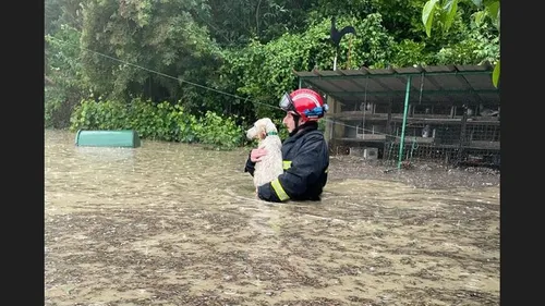 Nouvel épisode orageux sur le Comminges et le nord de Toulouse :...