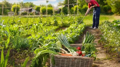 Malgré la crise du bio, l'Occitanie redouble la mise