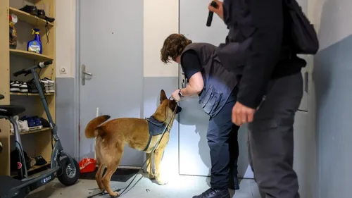 Toulouse. La police démantèle le supermarché de la "défonce"