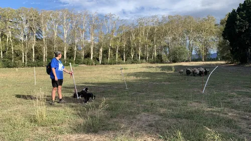 Pyrénées-Orientales : Une bergerie associative vous propose une...