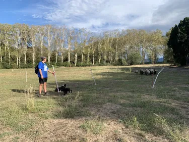 Pyrénées-Orientales : Une bergerie associative vous propose une...