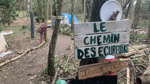 Près de Castres. La "Crem'arbre", une nouvelle ZAD, sort du bois