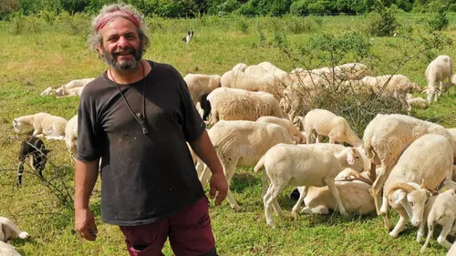 Une transhumance près de Toulouse : un défrichage écologique qui...