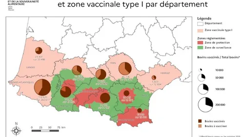 DNC : L’ensemble du cheptel bovin de l’Ariège vacciné avant la fin...