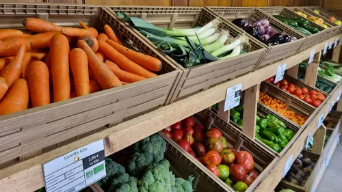 Prolongation et extension de l’ordonnance verte à Strasbourg