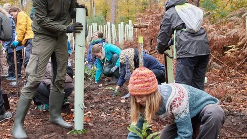 4 500 arbres plantés par des jeunes à la frontière franco-allemande