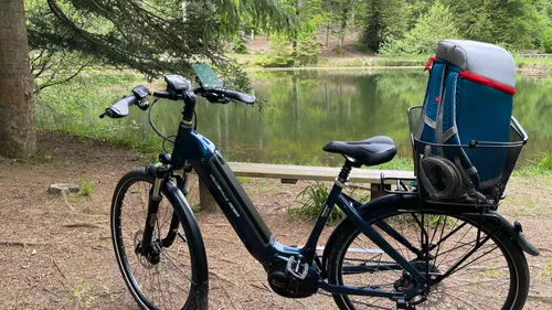 Découvrez les pépites du Pays Rhénan à vélo