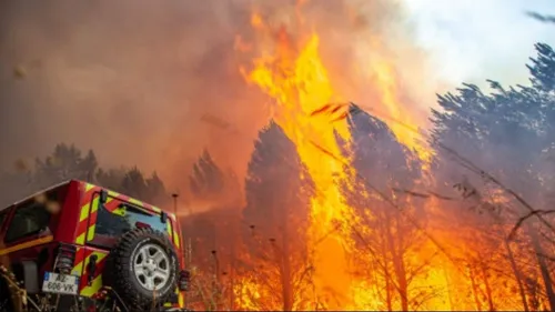 Bas-Rhin : les accès à certaines forêts interdits pendant 4 jours 