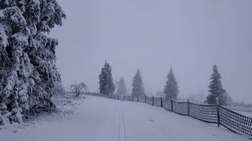 Les stations de ski alsaciennes ouvrent leurs portes