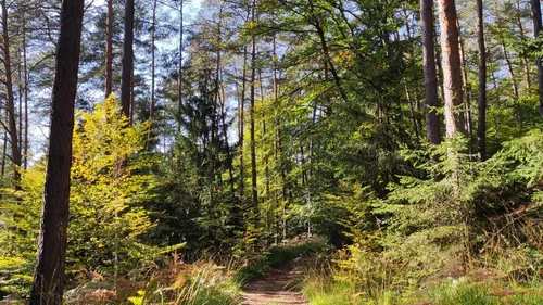 Devenez sentinelle de la lutte contre les feux de forêt