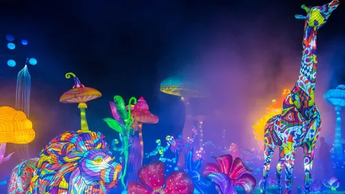 Un festival lumineux au Zoo d’Amnéville