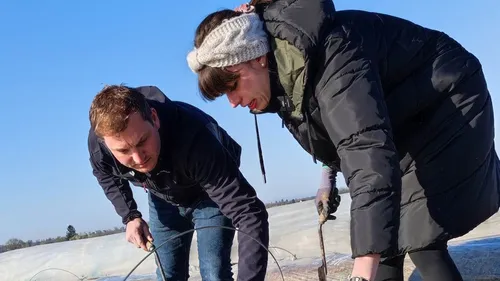 Estelle Challenge de saison avec la récolte d'asperges