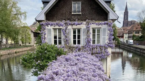 Strasbourg, ville verte