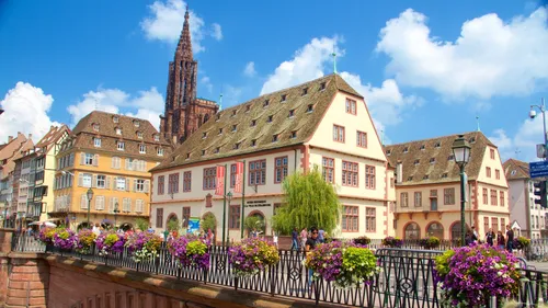 Villes et villages fleuris : l'Alsace récompensée 