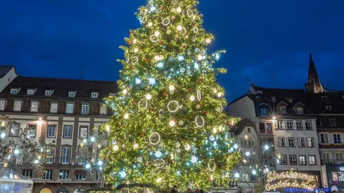 Strasbourg : le sapin de Noel aspergé de peinture 