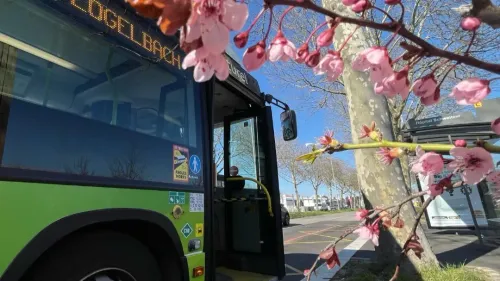 Colmar : fin des tickets de bus jetables pour Trace 