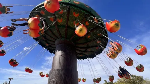 Les bons plans des vacances en Alsace