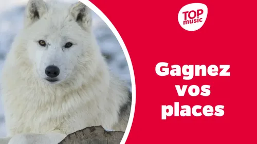 Top Music vous offre vos places pour le Parc de Sainte-Croix !