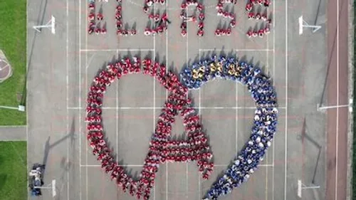 La Cup Song du collège de Dambach-la-Ville cartonne