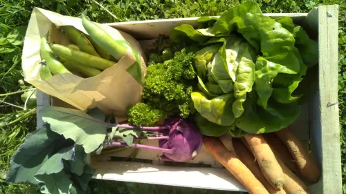 Les gares alsaciennes contre le gaspillage alimentaire