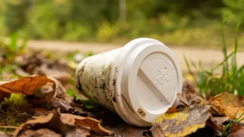 Les dates et lieux des nettoyages de printemps en Alsace