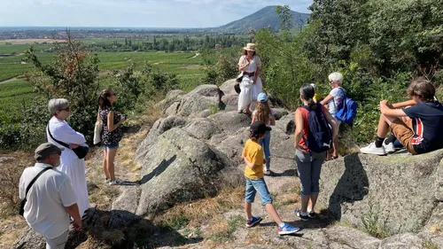 Le crush du jour : une balade avec Monsieur Lézard