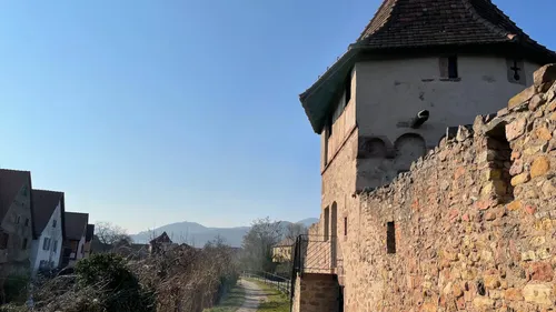 J-1 : Pourquoi voter pour Bergheim ?