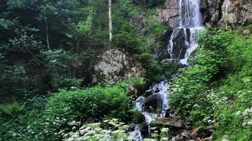 Montagne : les activités à tester cet été