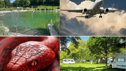 Le top 5 de nos articles les plus lus en 2024