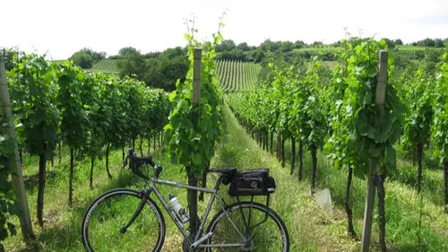 Des bars éphémères dans le secteur de la Mossig et du vignoble