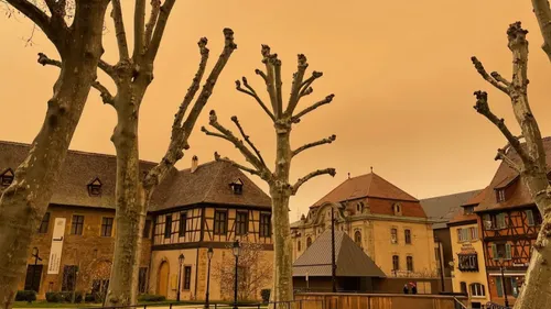 Le retour du sable du Sahara en Alsace