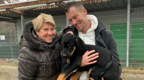 L'heure est à la réconciliation entre la SPA et la Ville de Strasbourg