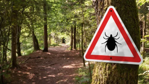 Strasbourg : un escape game pour sensibiliser aux maladies liées...