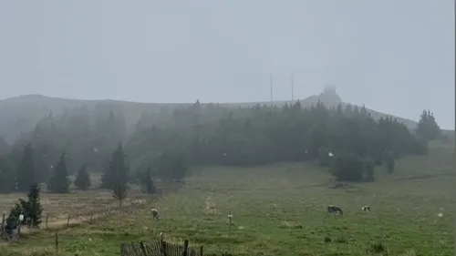 Premiers flocons de neige sur les Vosges