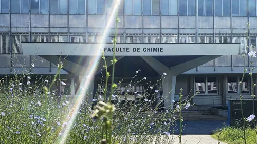 Université de Strasbourg, top 150 mondial