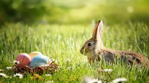 Le calendrier des chasses aux oeufs de Pâques en Alsace