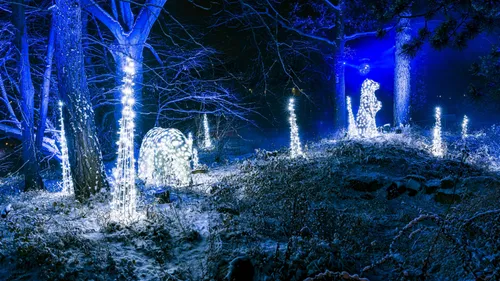 Les installations lumineuses du  Christmas Garden de Karlsruhe