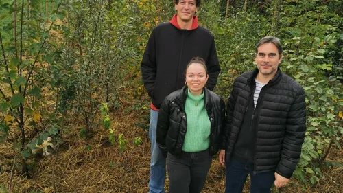 Ils veulent reboiser l'Alsace