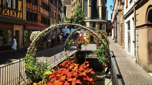 L’Alsace, très bon élève des « Villes et Villages fleuris »