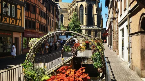 Sécheresse : fleurir or not fleurir ?