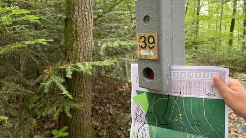 Le crush du jour : la course d’orientation de Neubois