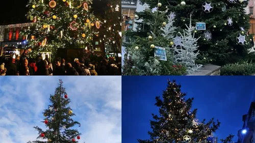 Le sapin de Noël, entre tradition et beauté en Alsace 